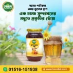 🍯 সুন্দরবনের প্রাকৃতিক চাকের মধু